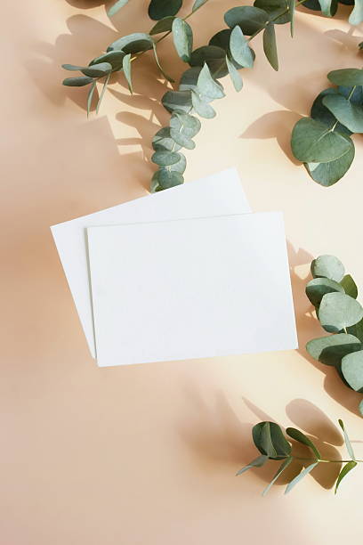 istock Blank card mockup, empty papers and eucalyptus branch on beige background 2219728380