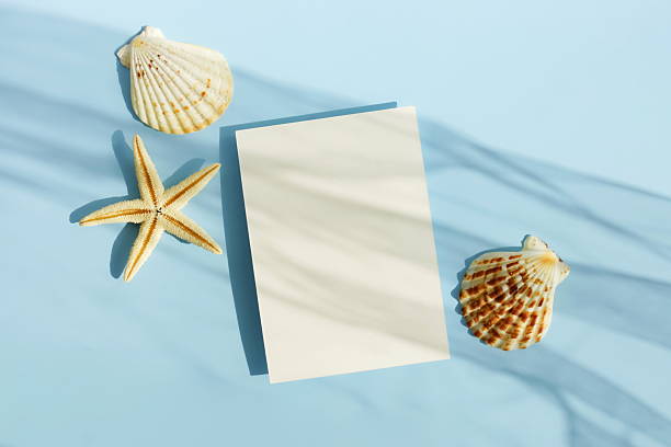 istock Empty paper blank card mockup, seashells, stars  and sunlight shadow top view on blue background. 2219728471