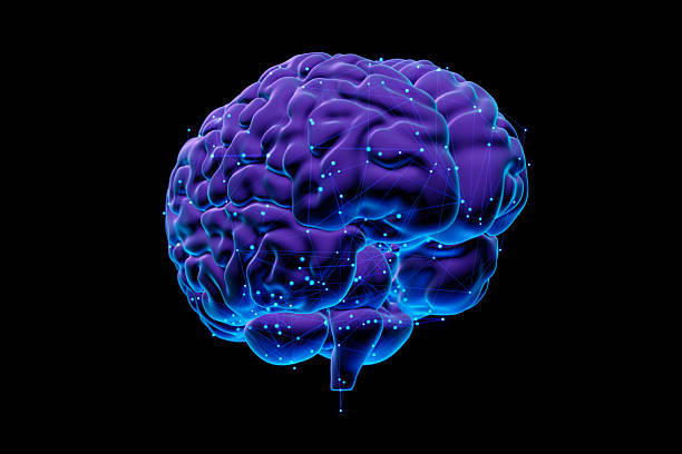 istock Human Brain isolated on black background - Futuristic Concept of Intelligence, science and mind 2219728717
