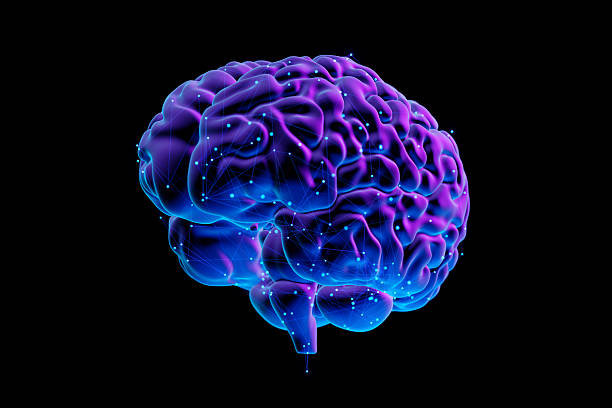 istock Human Brain isolated on black background - Futuristic Concept of Intelligence, science and mind 2219728784