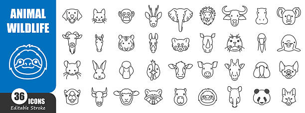 Animal and wildlife head front view outline icon . Editable stroke . Vector . Animal and wildlife head front view outline icon . Editable stroke . Vector . capybara-symbol stock illustrations