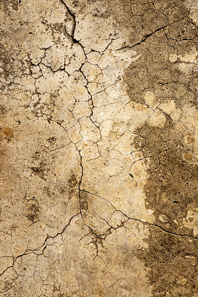 Close Up Texture Of Concrete Floor