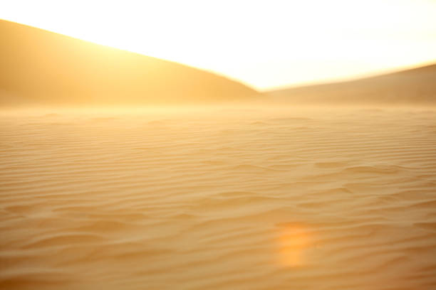 A tranquil desert scene showcasing soft golden light filtering over rippled sand at dusk, creating a serene atmosphere perfect for relaxation and contemplation.