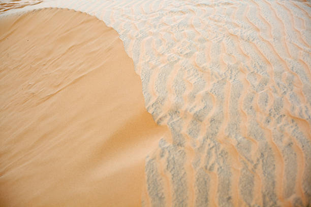 Captivating close-up view of smooth sand dunes showcasing intricate wind patterns, illustrating the beauty of untouched desert landscapes in a serene environment.