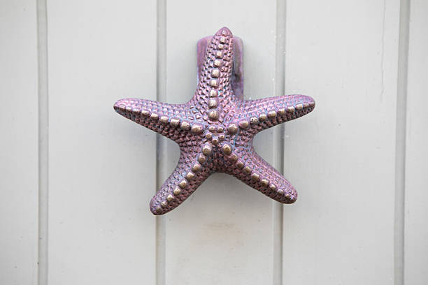 Lilac coloured metal starfish on a wooden door