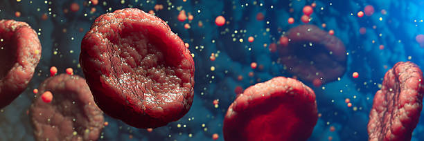 istock Detailed Visualization of Red Blood Cells in a Microscopic Environment 2219741675