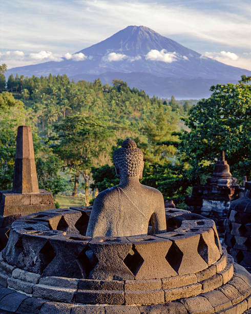 istock Buddha Statues on the Second Circular Terrace of Borobudur with Mount Sumbing, Central Java 2219748777