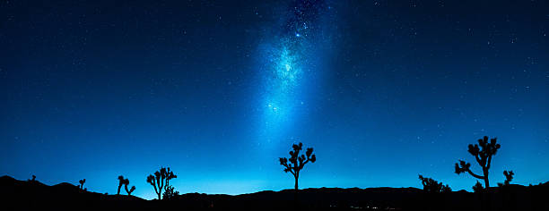 Milkyway took at Joshua Tree National Park, California
