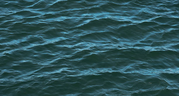 istock Banner blurred water surface, deep green color natural background 2219755480