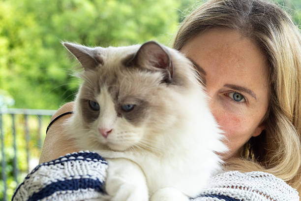 istock Woman Cuddling Ragdoll Cat in Serene Outdoor Setting 2219760766