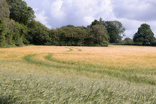 istock Buckinghamshire Farmland 2219760906