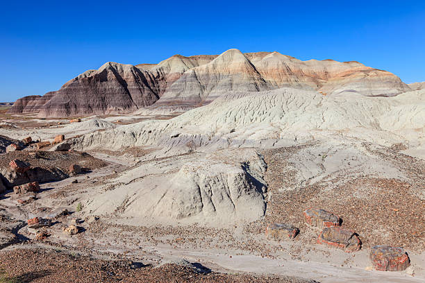istock Blue Mesa Landscape, Petrified Forest NP, Arizona 2219761434