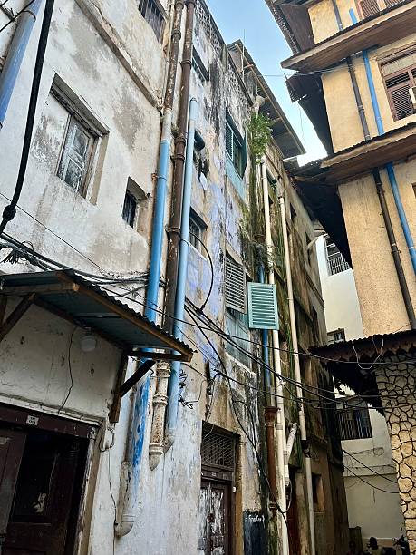 istock Tanzania - Zanzibar - Stone Town - colonial architecture 2219762047