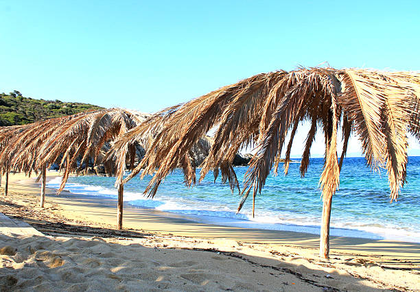 istock beautiful beach with umbrellas and blue sea 2219762839