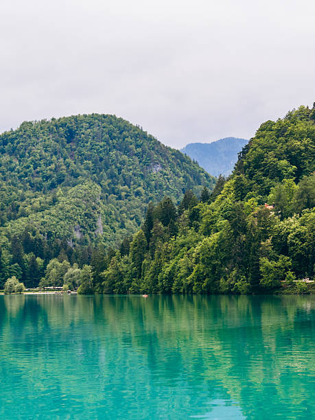 istock Mountain lake in the Alps 2219765175