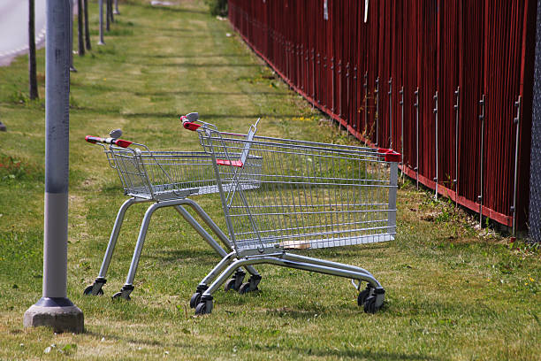 istock Two shopping cart out on an adventure together 2219771802