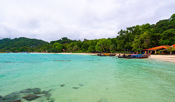 istock Tropical beach on Ko Phi Phi island in Thailand with palm trees, lush rainforest, and traditional long tail boats anchored along the shore under the bright sun. 2219773418