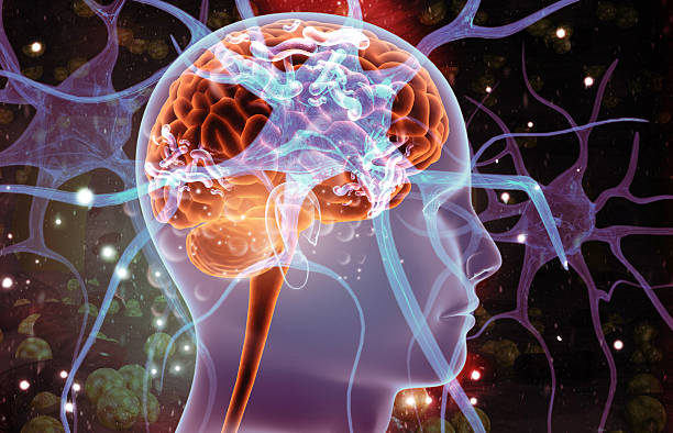 istock Neural network connections. neurons with electrical pulses 2219776622