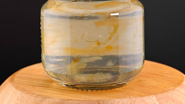 istock Bird Nest Soup in a Bottle. Chinese Herbal Drink. 2219776953