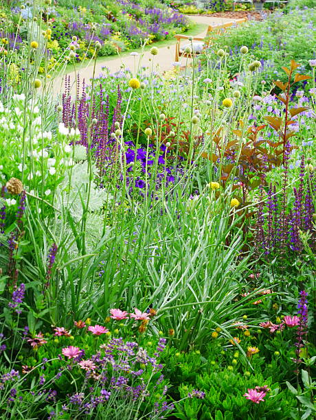 istock 2025.5.31 A space in Japan where you can relax while looking at flowers. 2219788353