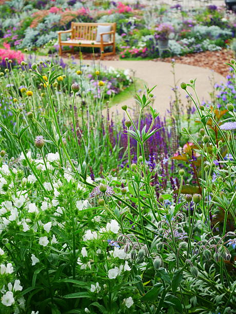 istock 2025.5.31 A space in Japan where you can relax while looking at flowers. 2219788476