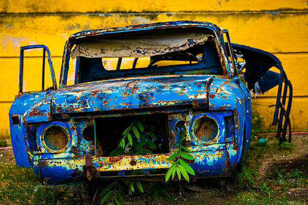 Plants are growing through the rusty grill of an abandoned blue car parked against a yellow wall, showing the passage of time and the resilience of nature
