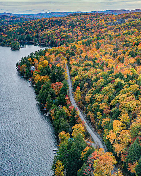 istock Lakeside Road in the Fall 2219797490