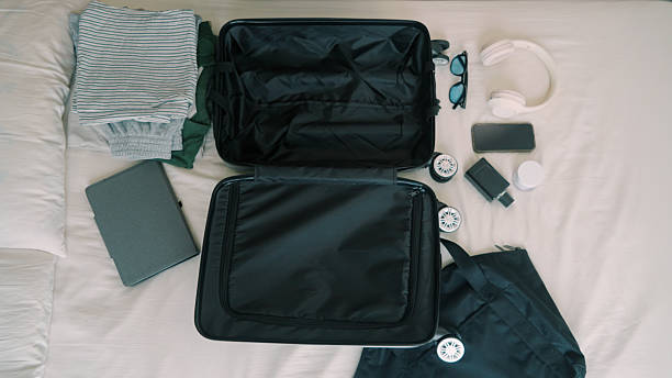istock Luggage for travel 2219801815