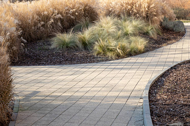 istock A stone-paved path winding through grass. The natural setting blends human design with landscape, offering a calm, scenic route perfect for walking 2219803697