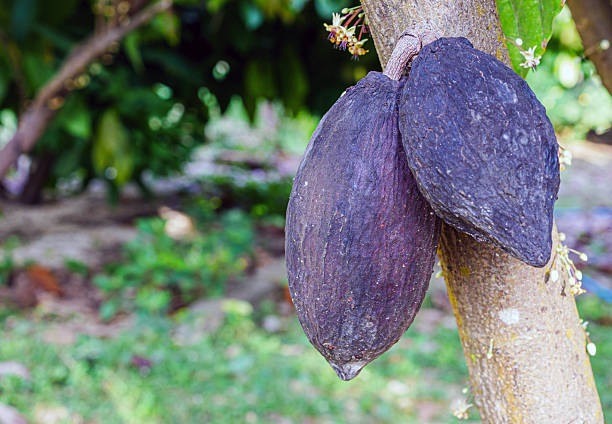 Отдых с детьми