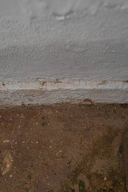istock Photo of ground texture pattern 2219806343