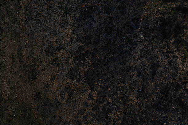 istock Photo of ground texture pattern 2219806456