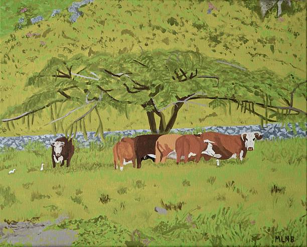 istock Cows under the Flamboyant in Colombier 2219809160
