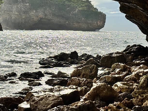 istock Rocky Shoreline and Cliffside View by the Sea 2219809454