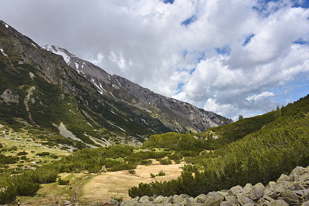 Spring Pirin National Park