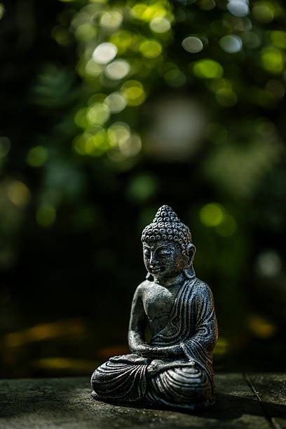 istock Close-Up of Buddha Statue with Soft Light 2219809846