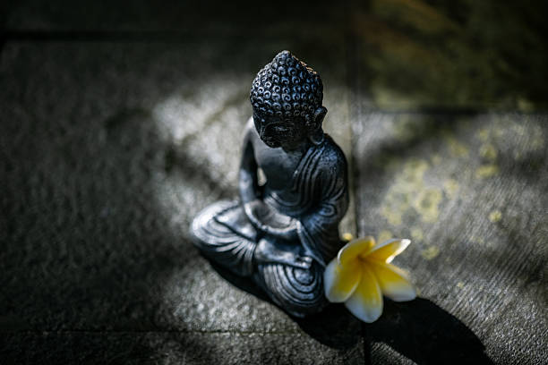 istock Buddha Statue with Frangipani Flower 2219809847