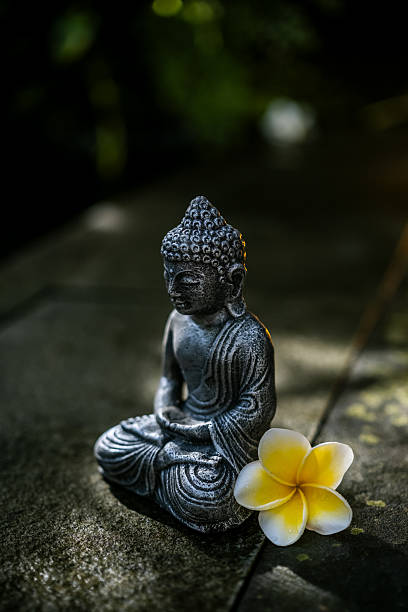 istock Buddha Statue with Frangipani Flower 2219809887