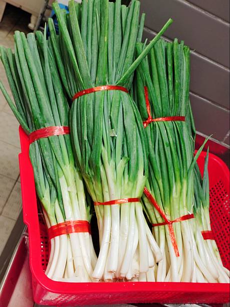 Green Onion