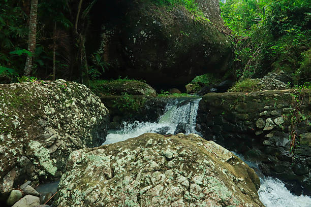 A clear mountain stream gently flows over wet rocks and moss-covered boulders in a lush tropical jungle. The mix of sunlight and shadow, combined with the tranquil flow of water, captures the untouched beauty of nature in a hidden forest canyon—perfect for themes of eco-tourism, serenity, and wilderness adventure.