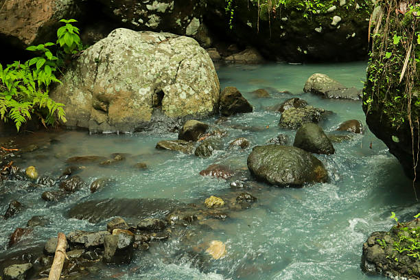 A clear mountain stream gently flows over wet rocks and moss-covered boulders in a lush tropical jungle. The mix of sunlight and shadow, combined with the tranquil flow of water, captures the untouched beauty of nature in a hidden forest canyon—perfect for themes of eco-tourism, serenity, and wilderness adventure.
