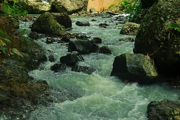 istock Mountain Stream Flowing Over Rocks in Tropical Forest 2219811975