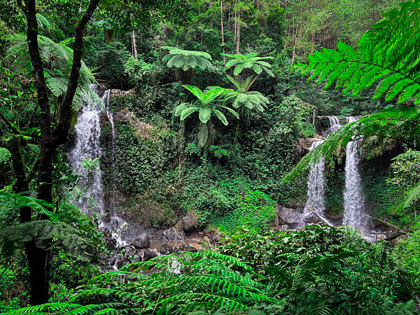 Idyllic waterfall in Madeira surrounded by green foliage (Rabo do Burro).