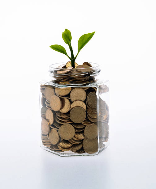 istock Young plant growing from coin jar 2219814026