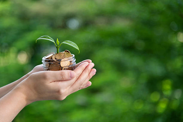 istock Young plant growing from coin jar 2219814075