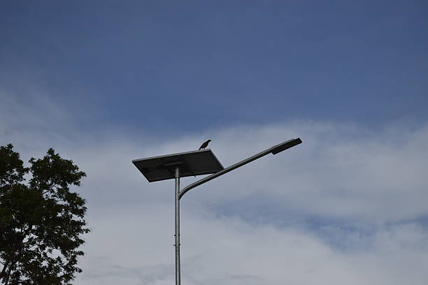 istock Street lamp 2219814481