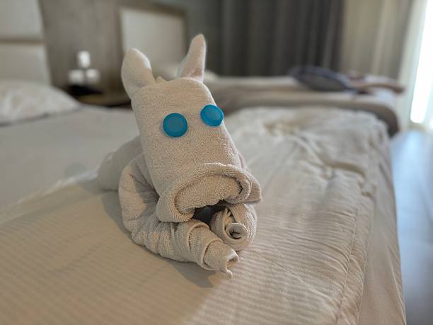 Towel On Bed In Room. Hotel room