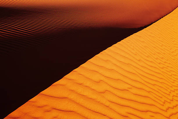 istock Sahara Desert, Algeria 2219819104