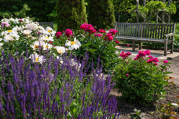 istock Beautiful Spring Garden with Various Trees and Flowering Plants 2219819383