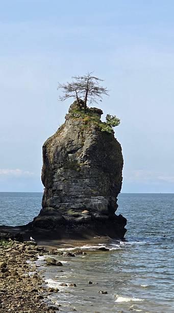 istock Vancouver's Siwash Rock During 2025 2219829842